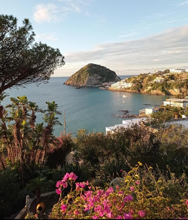 Mare Nostrum - Beachfront House - Sant'Angelo Ischia Buitenkant foto