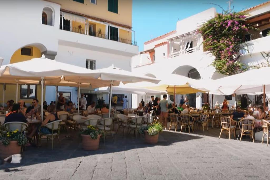 Mare Nostrum - Beachfront House - Sant'Angelo Ischia Buitenkant foto