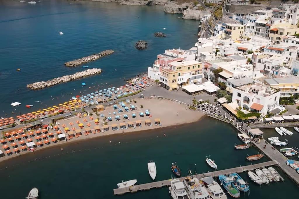 Mare Nostrum - Beachfront House - Sant'Angelo Ischia Buitenkant foto
